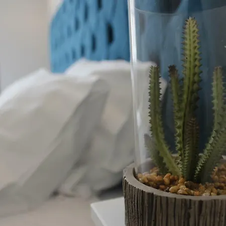 公寓 Augusta Street 213 - 2 Esq *